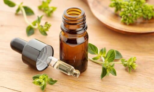 oregano oil helps relieve toothaches