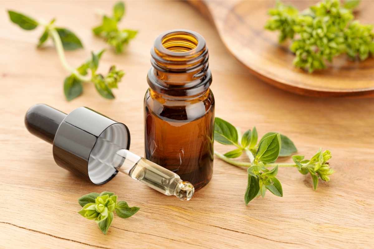oregano oil helps relieve toothaches